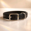 Biothanes Halsband mit Lederpolster 39,5 cm