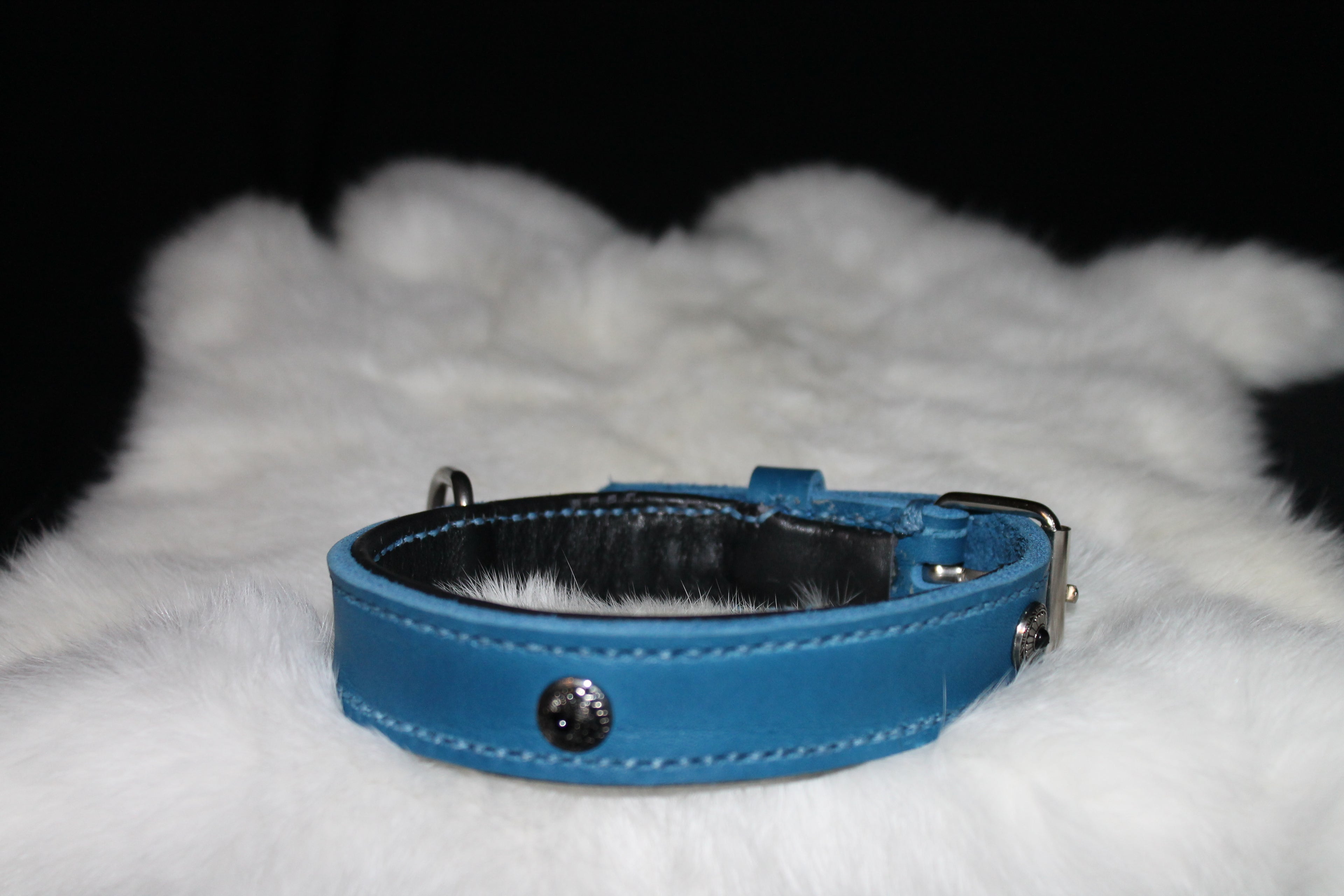 DIY handgenähtes Hundehalsband Fettleder, Blau Gr. 32-36 cm, 2,5 cm breit
