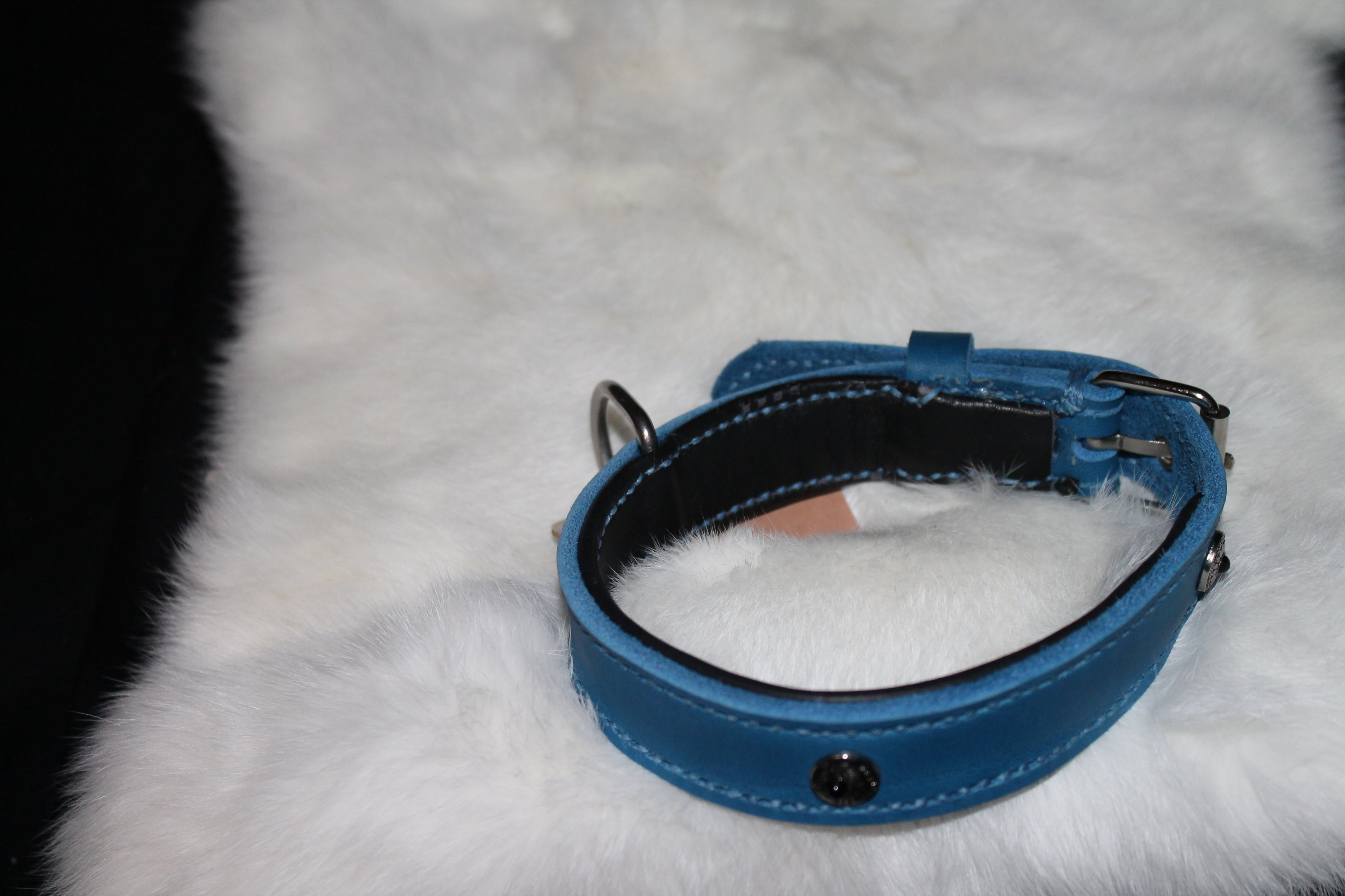 DIY handgenähtes Hundehalsband Fettleder, Blau Gr. 32-36 cm, 2,5 cm breit